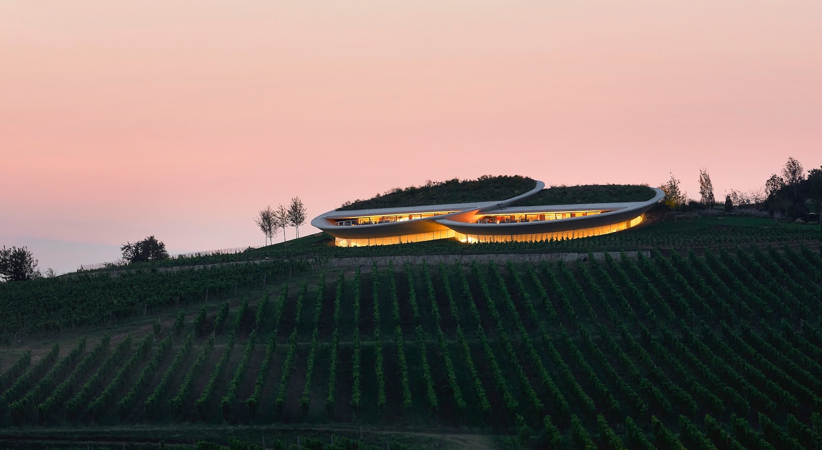 TAKAJ SAUSKA WINERY | Kiến trúc và rượu vang cùng "lên men" giữa vùng đồi di sản